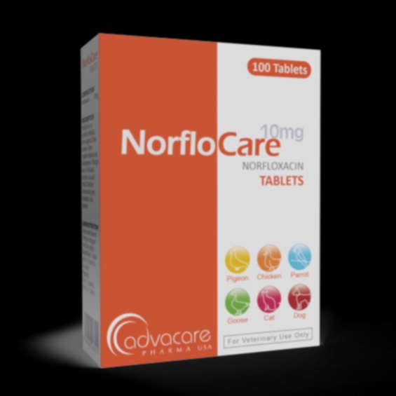 Norfloxacin générique – achat en ligne pas cher